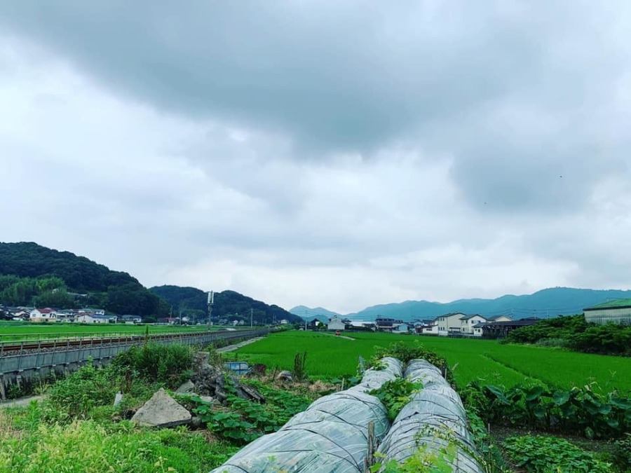 東江原町の風景