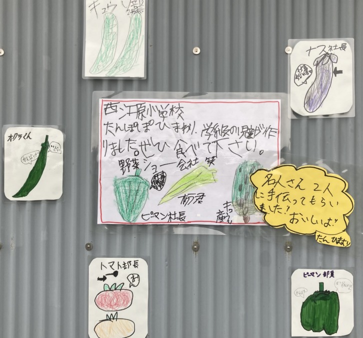 西江原小学校児童が育てた野菜がノリノリマーケットに登場‼️