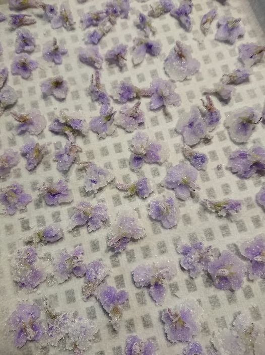 #買ったら高いです