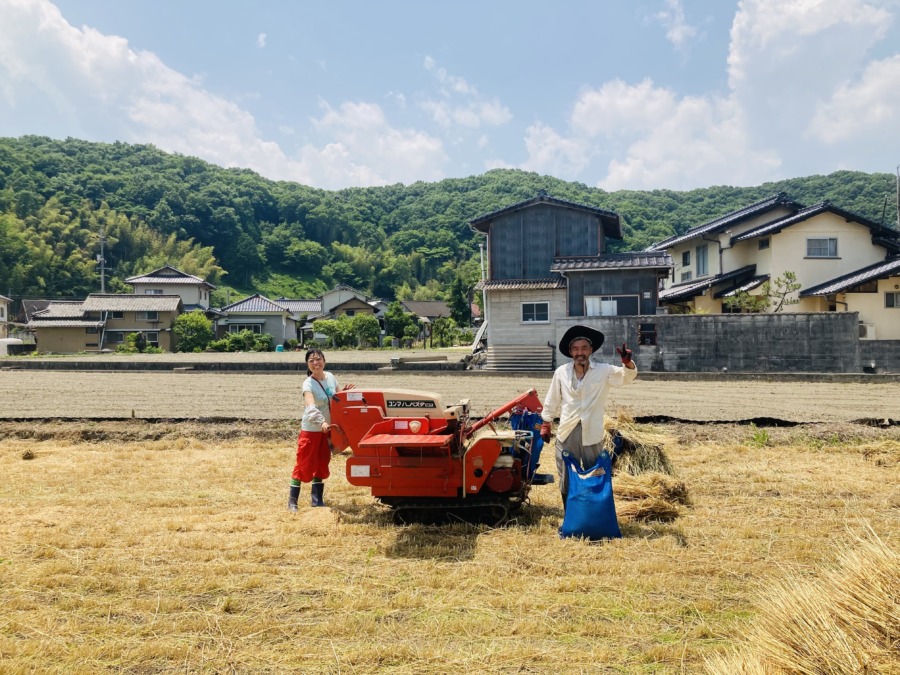 西江原町で麦収穫200キロ❗️