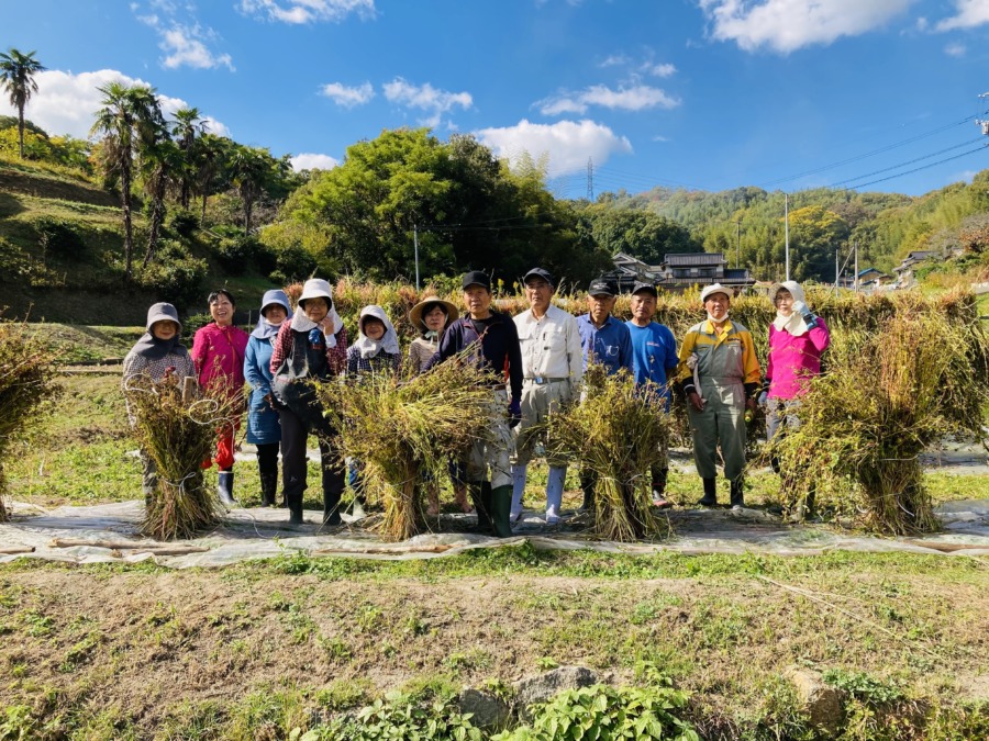 蕎麦収穫体験参加者募集❗️11月14日(月)‼️