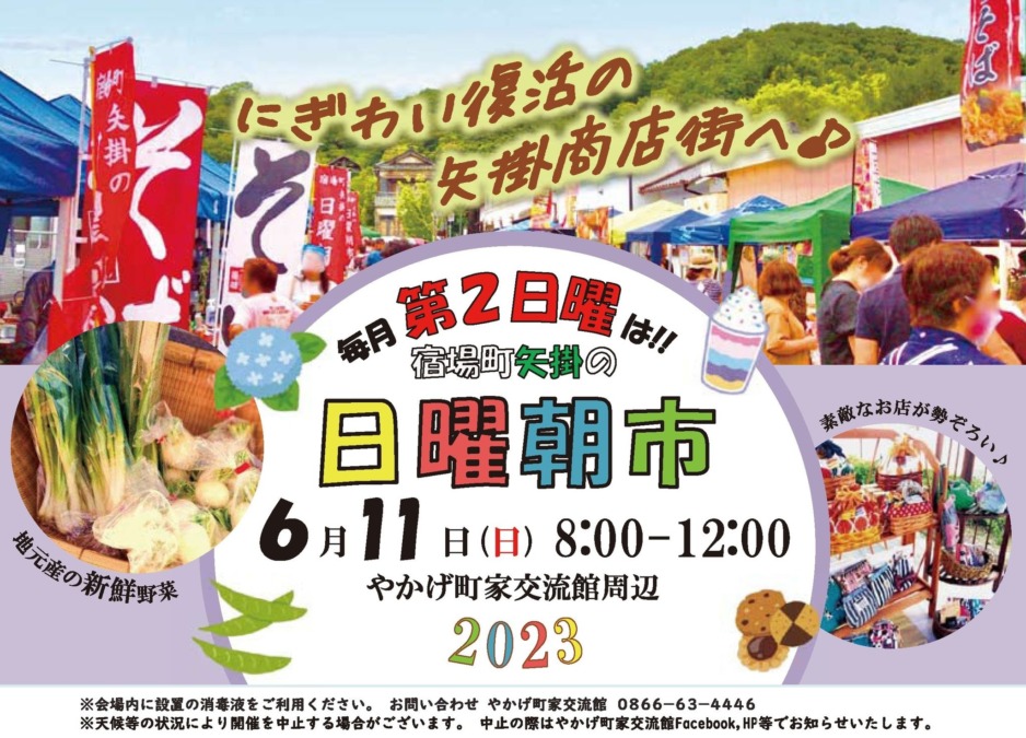 6/11(日)日曜朝市