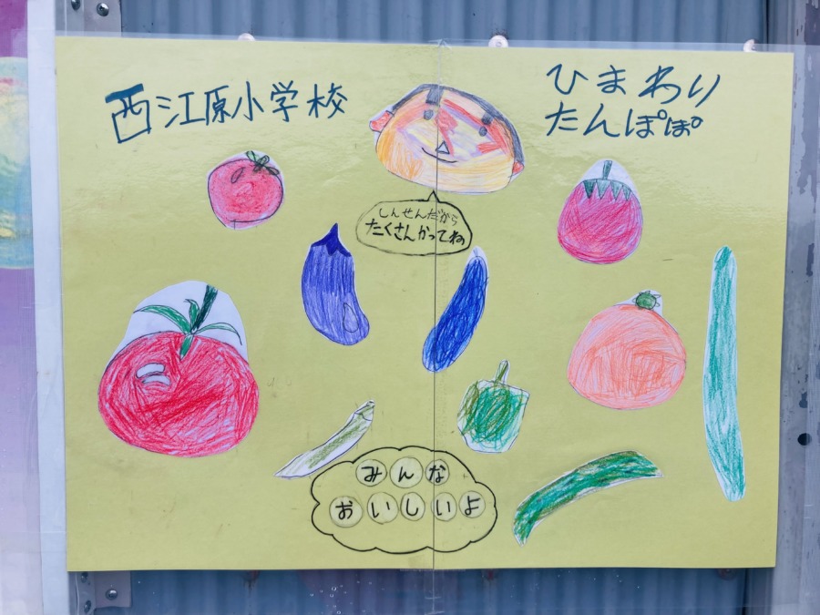 西江原小学校児童が育てた野菜をノリノリマーケットで販売❗️