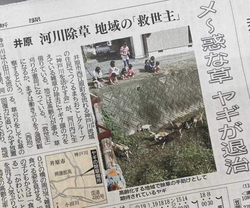 10月12日(木)中国新聞「メ〜惑な草、ヤギが退治」掲載！