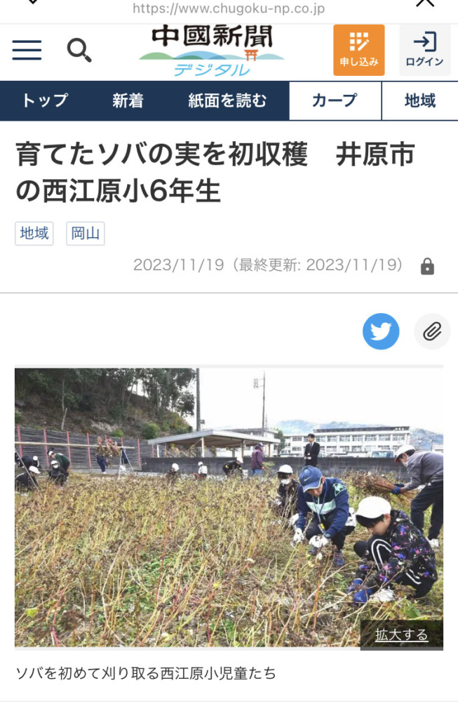 中国新聞掲載❗️西江原小学校6年生蕎麦収穫‼️