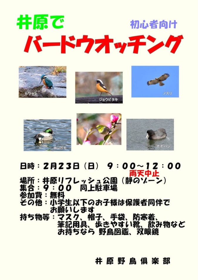 井原野鳥倶楽部よりお知らせ