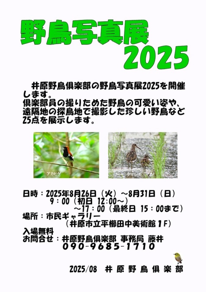 8/26~8/31 井原野鳥倶楽部 野鳥写真展2025