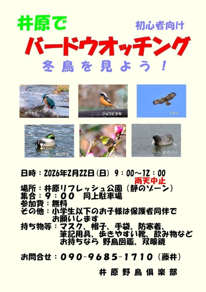 2026年2月22日　バードウォッチング　井原リフレッシュ公園　井原野鳥倶楽部主催