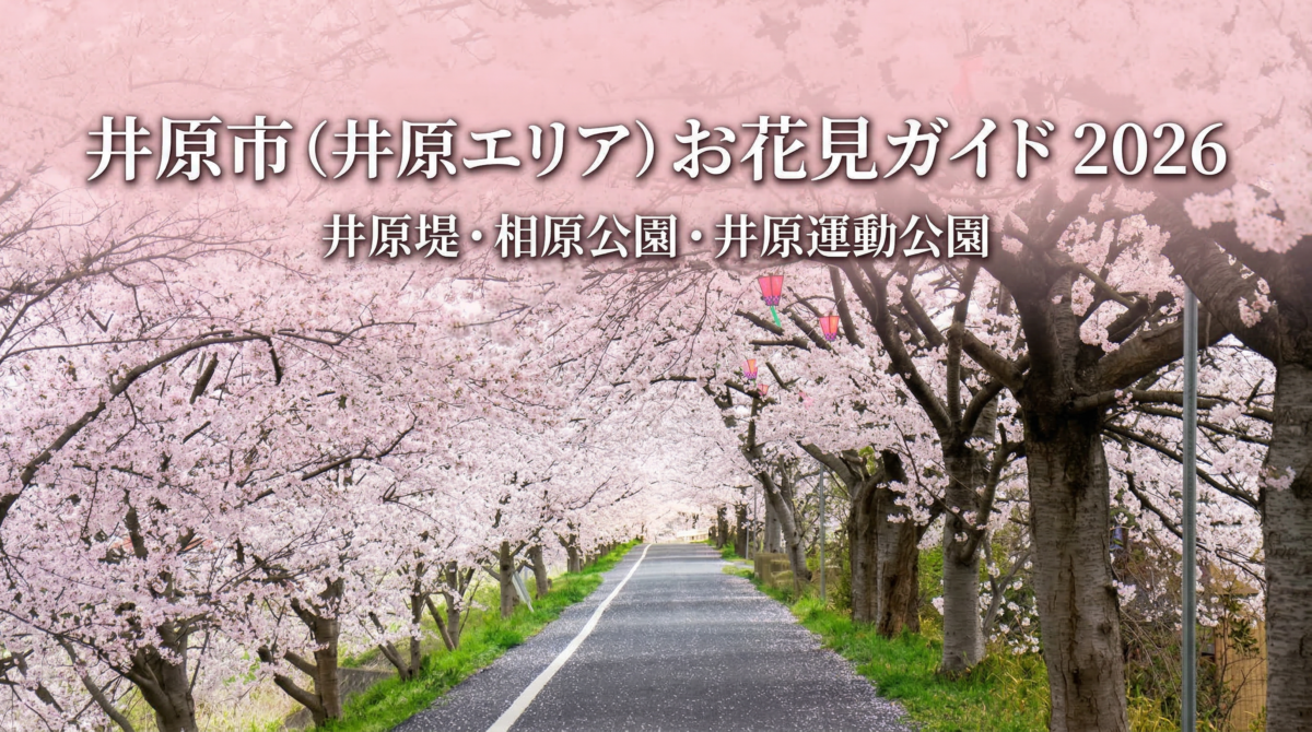 【2026年版】井原市（井原エリア）お花見ガイド｜井原堤・相原公園・井原運動公園